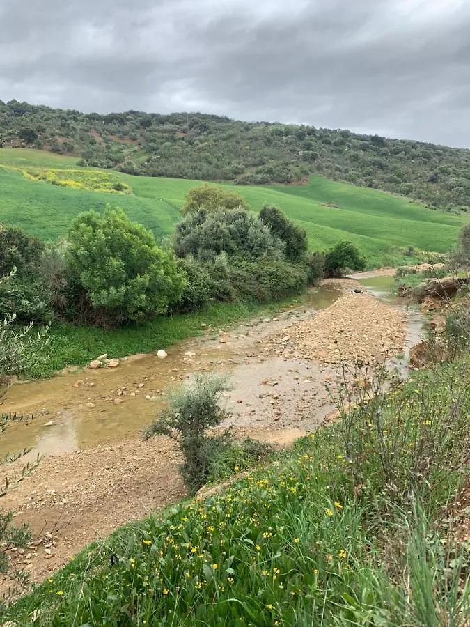 شاليه فيلا Cortijo El Alcornocal مالقة